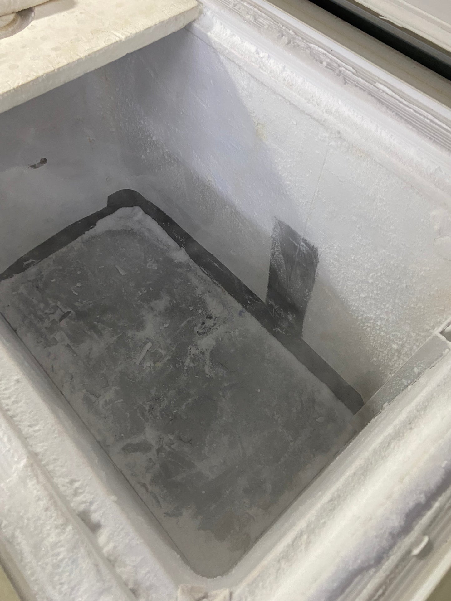 -80 Thermo Scientific freezer